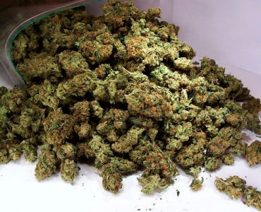 Aceite de marihuana con el 99% de THC